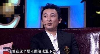 王思聪娱乐爆料视频大全,揭秘娱乐圈幕后故事  第3张